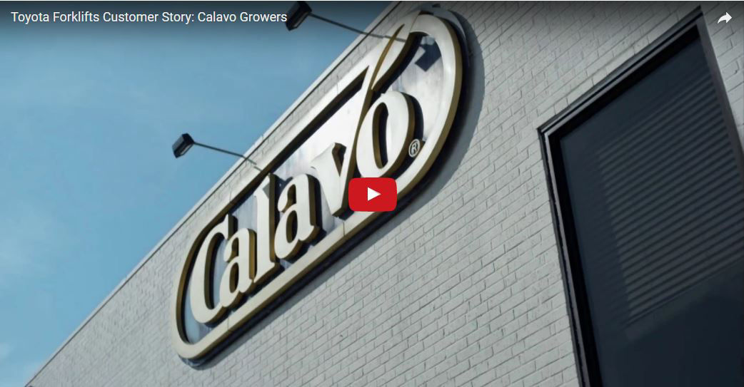Miniatura vidéo de l'étude de cas Calavo Growers